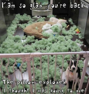 Pinned by merlyn lobo