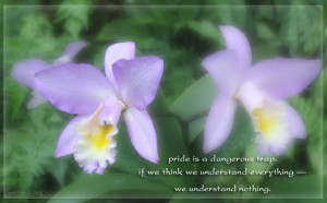 Quotes about pride, understanding quotes