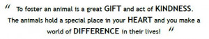 ... fostering a dog, I urge you to read this article: How Fostering A Dog