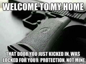 firearms-meme-gun-locked-door-protection-nra.jpg