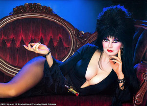 the first time i ever saw elvira mistress of the dark was in the pages ...