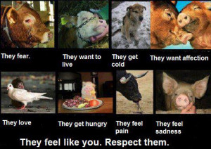 Go Back > Gallery For > Animal Abuse Quotes