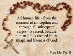 ... life is created in the image and likeness of God.