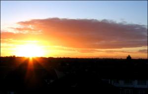 Share This: Facebook Twitter Google+