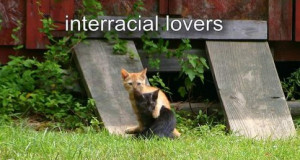 interracial lovers