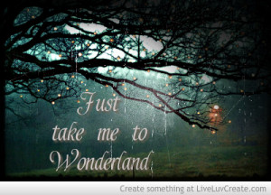 Just Take Me To Wonderland