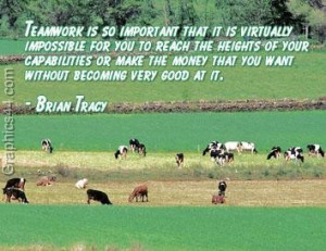 teamwork wallpapers | best teamwork wallpapers | funny teamwork ...