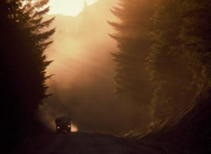 The Great Divorce' Novel