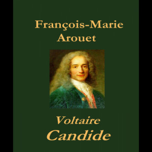 Voltaire: Candide (eBook)