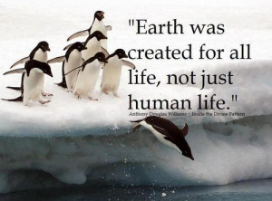 Anthony D. Williams Quotes (Images)