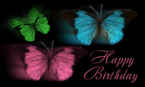 Happy Birthday Butterfly Quotes Happy birthday blondie feb 1,