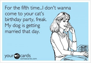 funny-picture-dog-cat-party-birthday