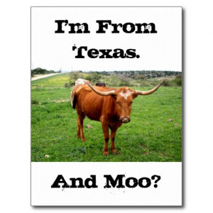 texas_longhorn_with_funny_texas_saying_post_cards ...