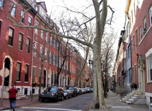 Here are some better pics of the typical Philadelphia Row House: