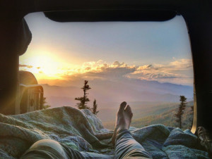 swag red tree beautiful summer hipster stunning sleep trees orange ...