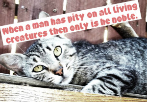 STOP ANIMAL ABUSE by Malficient