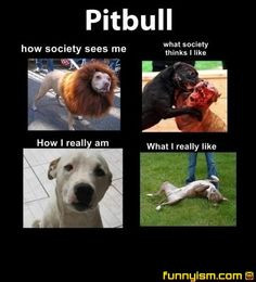 sweet dog quotes | pitbulls, best kinda dogs out there. Constantly ...