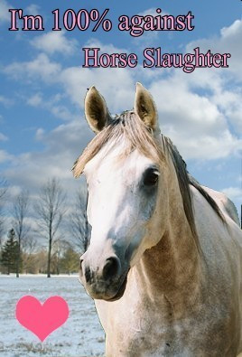 ... /photos/7300000/horse-against-horse-slaughter-7327119-268-395.jpg