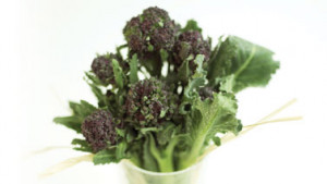 Cary Neff · June 2009