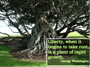 ... it begins to take root, is a plant of rapid growth ~ Freedom Quote
