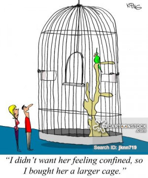 funny, Bird Cages picture, Bird Cages pictures, Bird Cages image, Bird ...