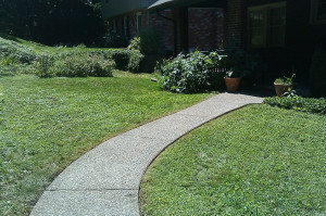 ... We Can Help Each Other... Affordable Lawn Care / Handyman Services