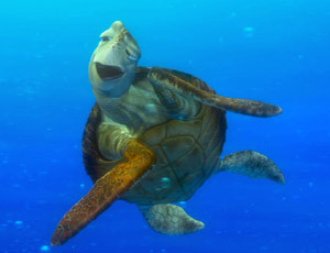 other turtles home is actually hawaii and he and the other turtles are ...