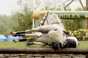 Horse Quotes Equine Equestrian Horseback Riding Kootation