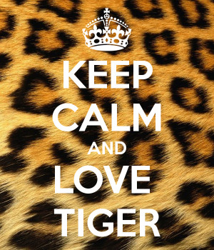Tiger Love Are You Ok Picture