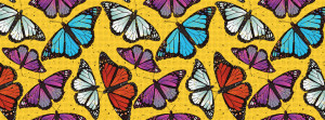 Butterfly Facebook Covers Quotes