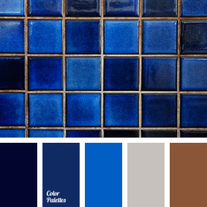 blue and brown color palettes