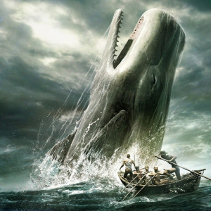 Moby Dick V.S. the Kraken Followup