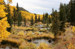 Rocky Mountain Outfit — American Mountain Men (AMM) party of ...