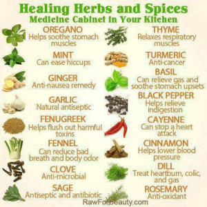 list of medicinal herbs and their uses