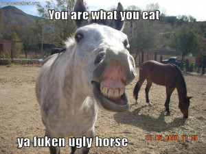 Sick Horse Jokes Meme