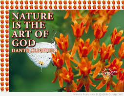 Nature Is The Art of God - Flower Quote