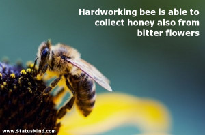 bee is able to collect honey also from bitter flowers - Work Quotes ...