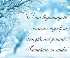 Wintergirls Laurie Halse Anderson Quotes Wintergirls 1