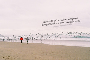 tumblr lpzxwaaw2J1qeuyelo1 500 Sunset Jamestown Story credits:...