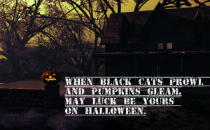 Halloween Black Cat Sayings Quotes