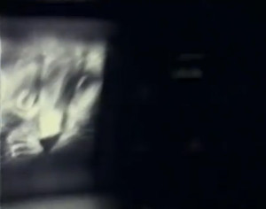 Things that Quicken the Heart