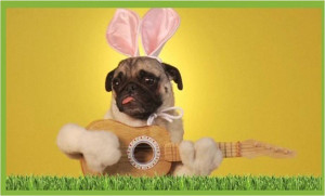Happy Easter! Top 3 Funniest Easter E Cards image Signing Dog from ...