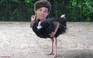 Hello peasants i'm Louis Tomlinson and this is my Diary, Eleanor ...