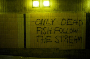 only dead fish follow the stream
