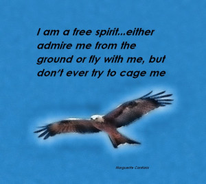 Admire Me From The Ground Or Fly With Me Quote And The Picture Of The ...