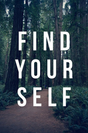 photography nature forest sayings find yourself