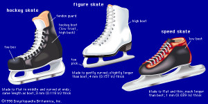 Hockey players, figure skaters, and speed skaters wear different types ...