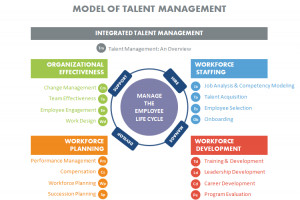 talent management strategy