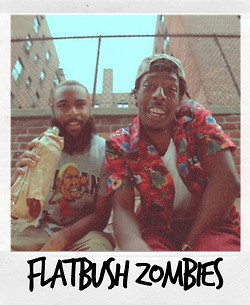 Flatbush Zombies