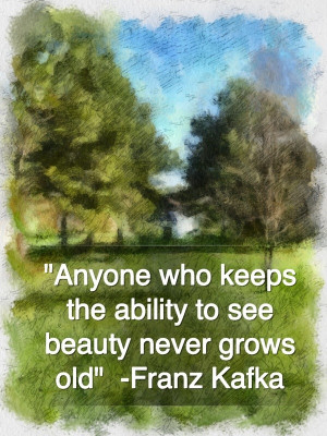 Franz kafka, quotes, sayings, ability to see beauty